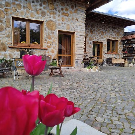 Pokoje Goscinne Skalnik - Agroturystyka Kostrzyn nad Odra Bagian luar foto