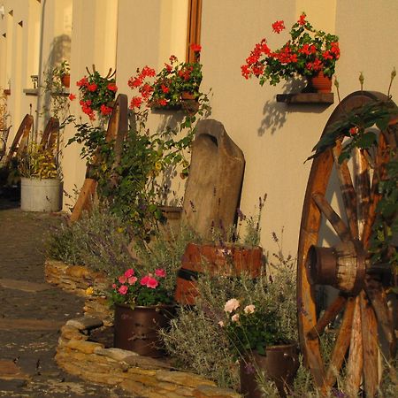 Pokoje Goscinne Skalnik - Agroturystyka Kostrzyn nad Odra Bagian luar foto