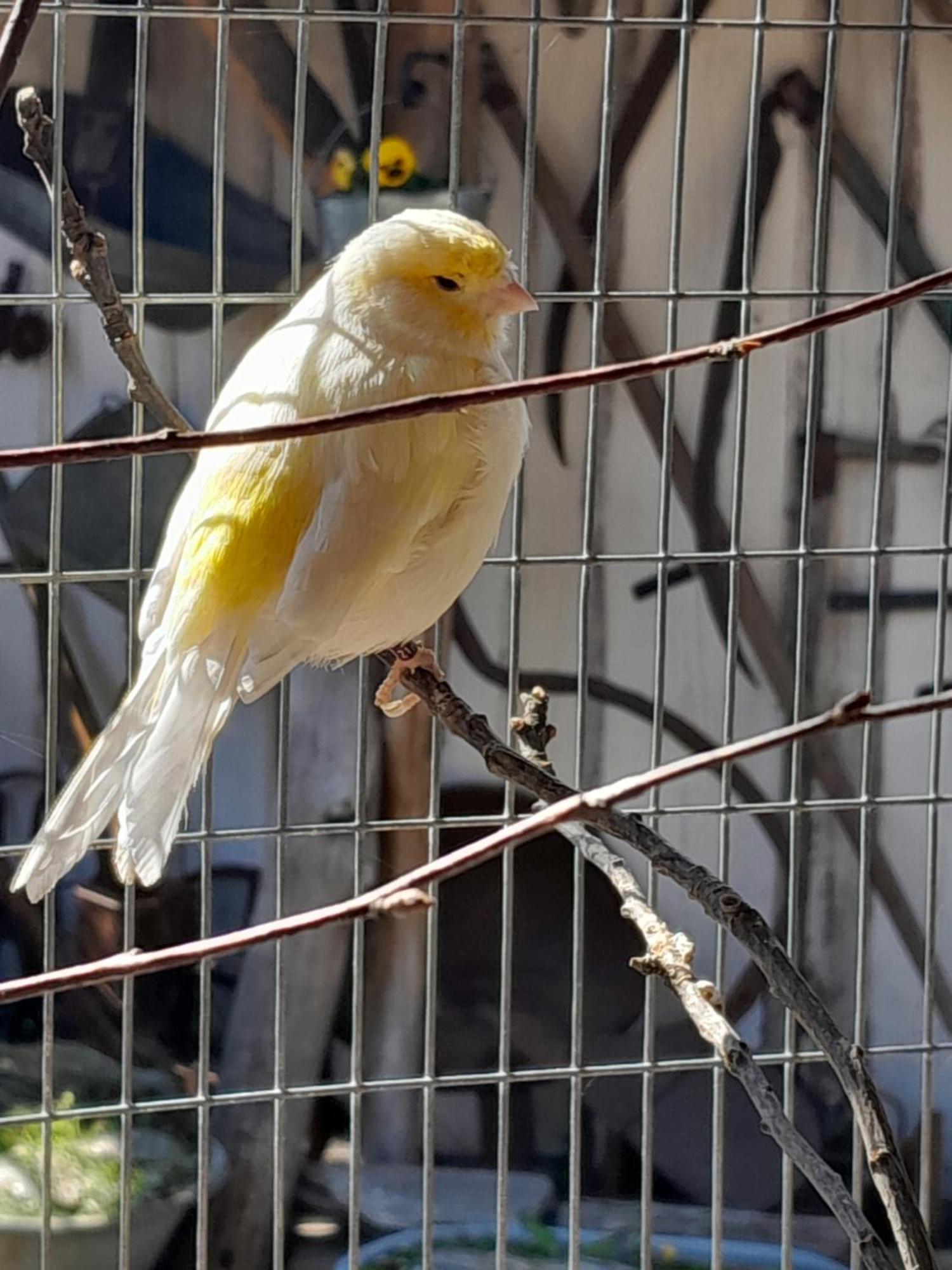 Pokoje Goscinne Skalnik - Agroturystyka Kostrzyn nad Odra Bagian luar foto