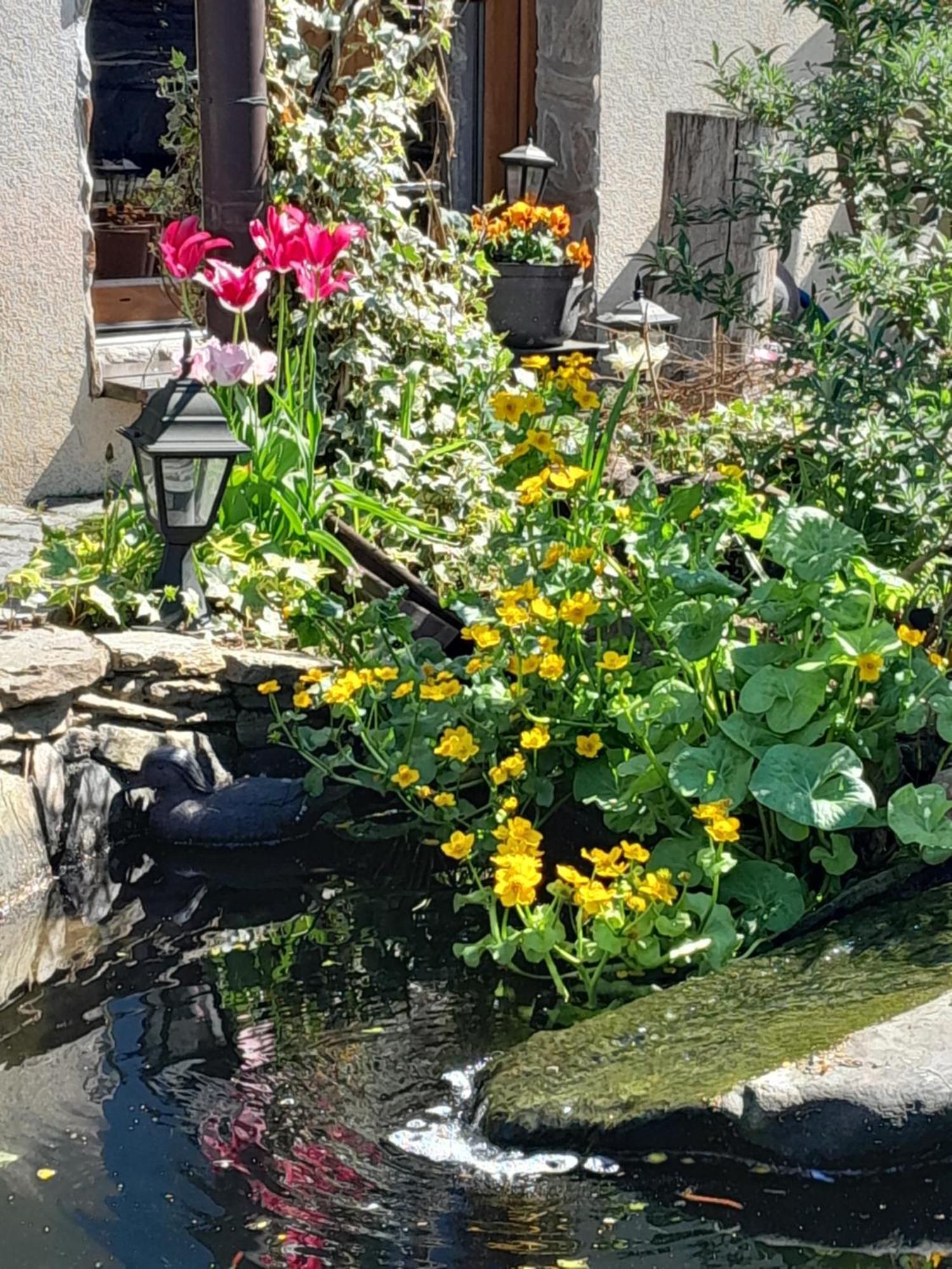 Pokoje Goscinne Skalnik - Agroturystyka Kostrzyn nad Odra Bagian luar foto