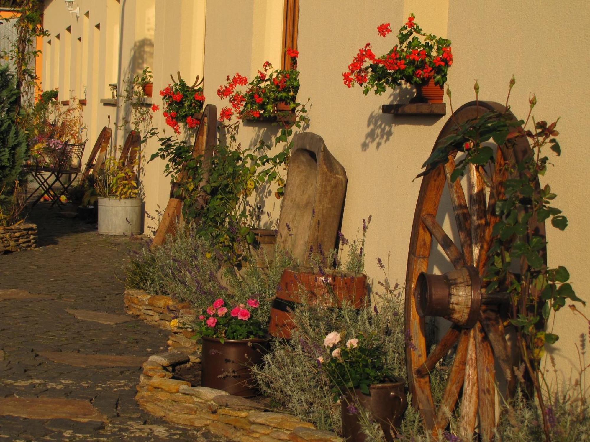 Pokoje Goscinne Skalnik - Agroturystyka Kostrzyn nad Odra Bagian luar foto