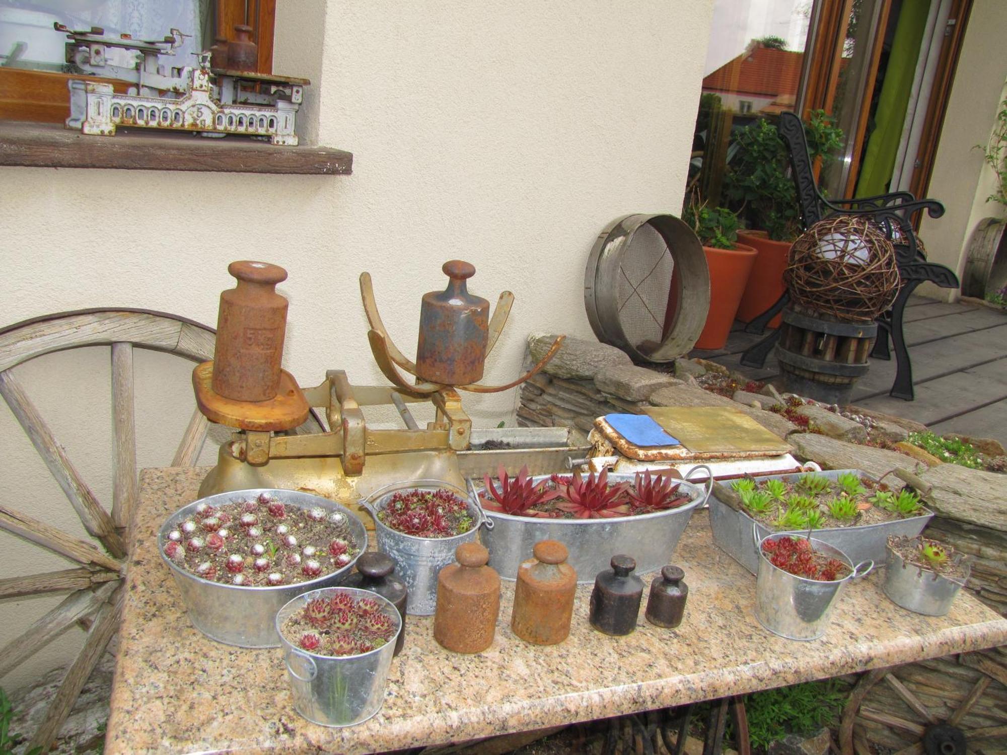 Pokoje Goscinne Skalnik - Agroturystyka Kostrzyn nad Odra Bagian luar foto